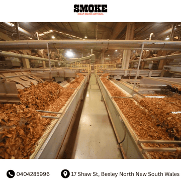 Kent Cigarettes Manufacturing Process: From Tobacco Selection to Precision Production